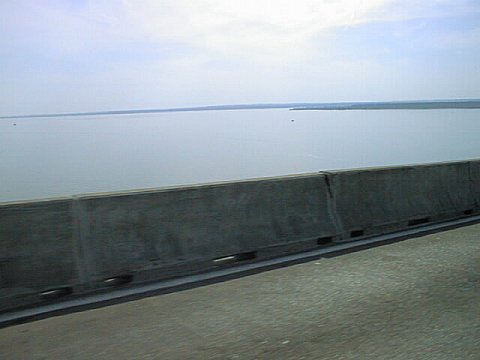 Potomac Downriver from 301 Bridge 1.jpg (22693 bytes)
