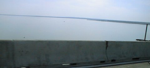Potomac Downriver from 301 Bridge 2.jpg (10512 bytes)