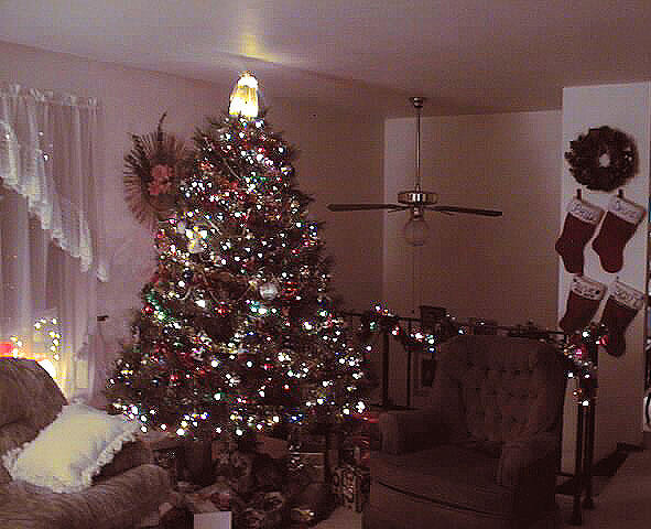 Tree-n-StockingsNoFlash.jpg (117670 bytes)
