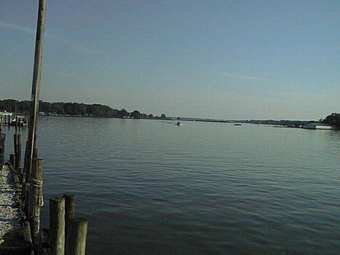 From the Oyster Place Downstream.jpg (25124 bytes)
