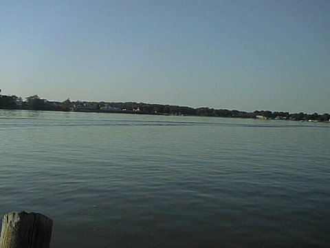 From the Oyster Place Upstream.jpg (20561 bytes)