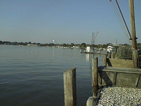From the Oyster Place Toward Nonis.jpg (33250 bytes)