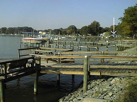 Parkers Cove Arrow.jpg (44222 bytes)