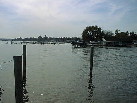 More Boats at Benedict.jpg (32151 bytes)