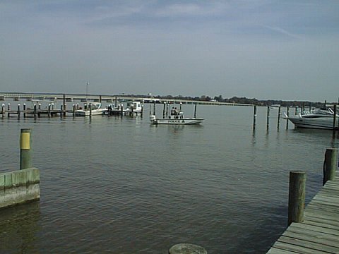 Water Cops at Benedict.jpg (30199 bytes)